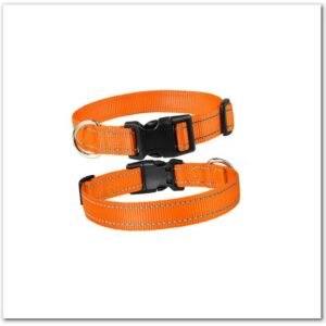 Adjustable Dog Collar with Quick Release Buckle