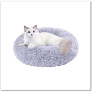 Beautiful Cat Beds for Indoor