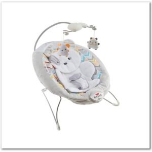 Fisher-Price Sweet Deluxe Bouncer