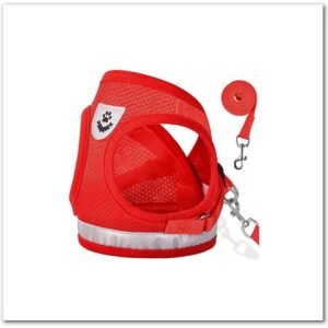 Puppy Harness with Leashes Set